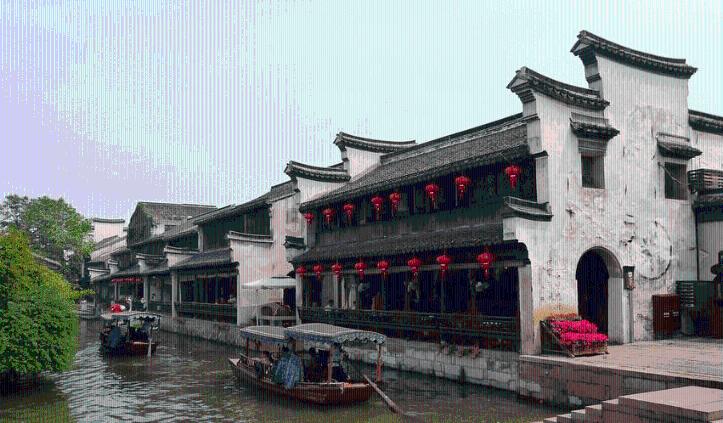 熊爬能养生吗